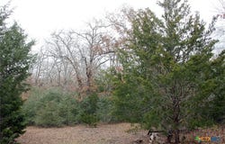 8729 E Fm 20, Dale, TX 78616