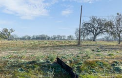 598 Northwest River Rd, Martindale, TX 78655
