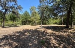 11428 Debbie Lane, Iola, TX 77861