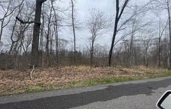 1 Forest Trail, BUMPUS MILLS, TN 37028