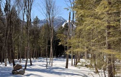 14 Aikins Drive, Jay, VT 05859