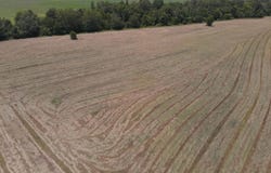Hwy 622, Mangham, LA 71259