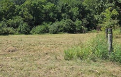 Ridge View, Jackson, MO 63755