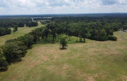 30 +/- ac CR 1112, Maud, TX 75567