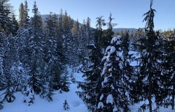 31244 E COLLINS LAKE Rd, GovernmentCamp, OR 97028