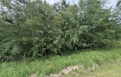 38XB Stebner Rd, Hermantown, MN 55811