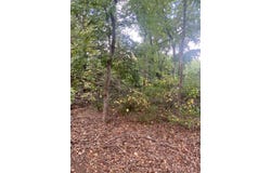Burns Road, Greer, SC 29651