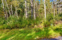 ON HERMANS LN, Argonne, WI 54511