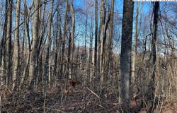 Highland Trail (Lot 7), Grassy Creek, NC 28631