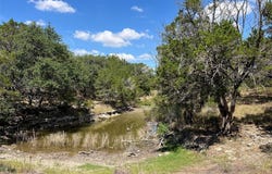 992, Blanco, TX 78606