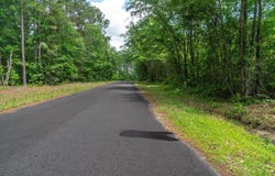 Deneaux Road, Rowesville, SC 29133