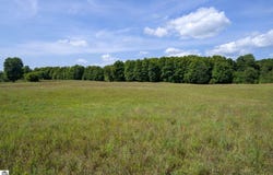 V/L E Center Road, Kingsley, MI 49649