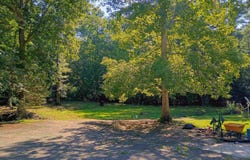 428 COUNTY ROAD 201, DELTA, AL 36258