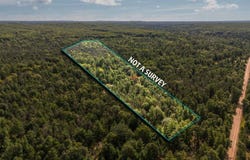 11663 SE Blueberry Trail, Fife Lake, MI 49633-9402