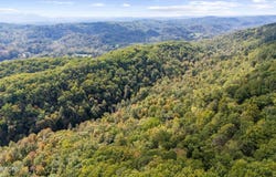 560 Prospect Rd, Luttrell, TN 37779