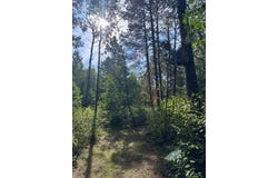 170th Street, Akeley, MN 56433