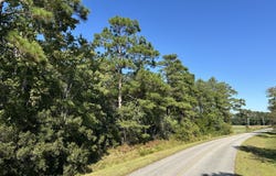 Willis Farm Tract-2 Road, Newport, NC 28570