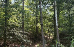 Rea Cemetery Rd, Coal City, IN 47427
