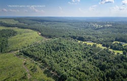 584 MONCUS ROAD lot: 5, CRAGFORD, AL 36255