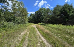 VL Leckrone Road, Brethren, MI 49619