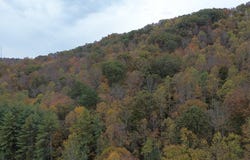 Roy Hill Rd., Hindman, KY 41822