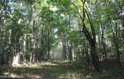 11 Star Landing Road, Nesbit, MS 38651