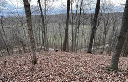 8289 N Fields Road, Vallonia, IN 47281