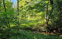 Stables Road, Fenner, NY 13035