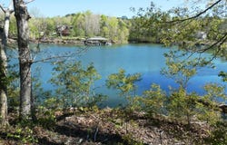 BULL BR Dr, Double Springs, AL 35553