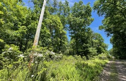 Aspen Ct 808, Cresco, PA 18326