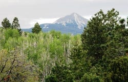 Peninsula Drive, Placerville, CO 81430