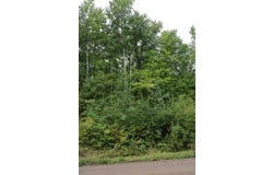 468xx Sugarbrush Circle, Garrison, MN 56450
