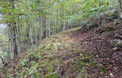 Clarkson Road, Spencer, WV 25276