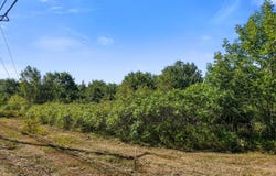 Eastbrook Road, Franklin, ME 04634