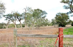 TBD Kearney Drive, Columbus, TX 78934