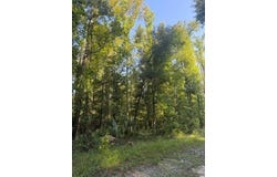 NE 667th St, Old Town, FL 32680