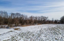 Evergreen, Moline, KS 67353