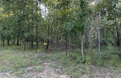 57 TIMBER RIDGE Dr lot: 57, Counce, TN