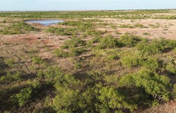 CR 218, Seymour, TX 76380