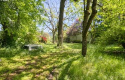 30575 NE FERNWOOD Rd, Newberg, OR 97132