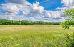 371 Highway 128, Bismarck, AR 71929
