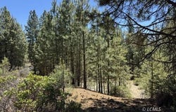 Friendship Drive, Chiloquin, OR 97624