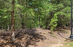 686 Palisade Trail, Denton, NC 27239