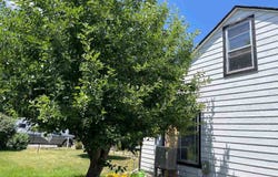 119 S Pine St, Dorris, CA 96023