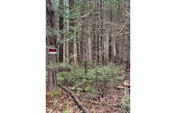3 Brimstone Road, Lagrange, ME 04453