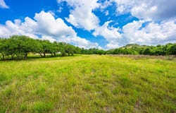 147 Gray Wolf, Blanco, TX 78606