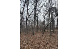Edge Road, Clinton, AR 72031