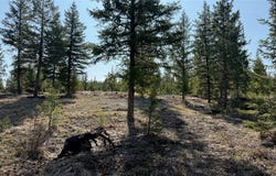 Kootenai Echo Trail, Rexford, MT 59930