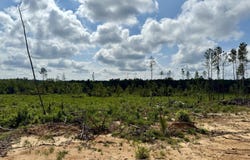 Attala Rd 5235, McCool, MS 39108