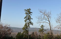 17114 Valley View Loop, Roland, AR 72135